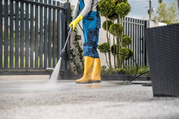 Best Local Pressure Washing Services  in Ball Pond, CT
