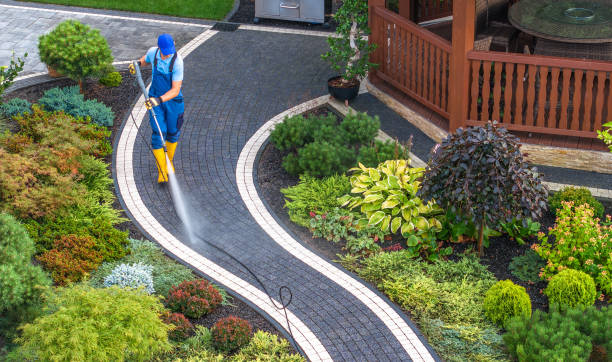 Best Pressure Washing Siding  in Ball Pond, CT